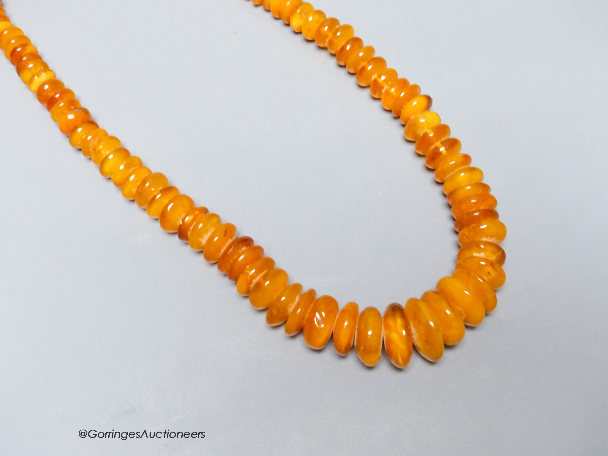 A single strand amber disc necklace, 67cm, gross weight 127 grams.